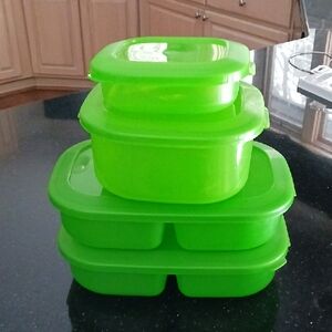 Debbie Meyer Food Storage Containers